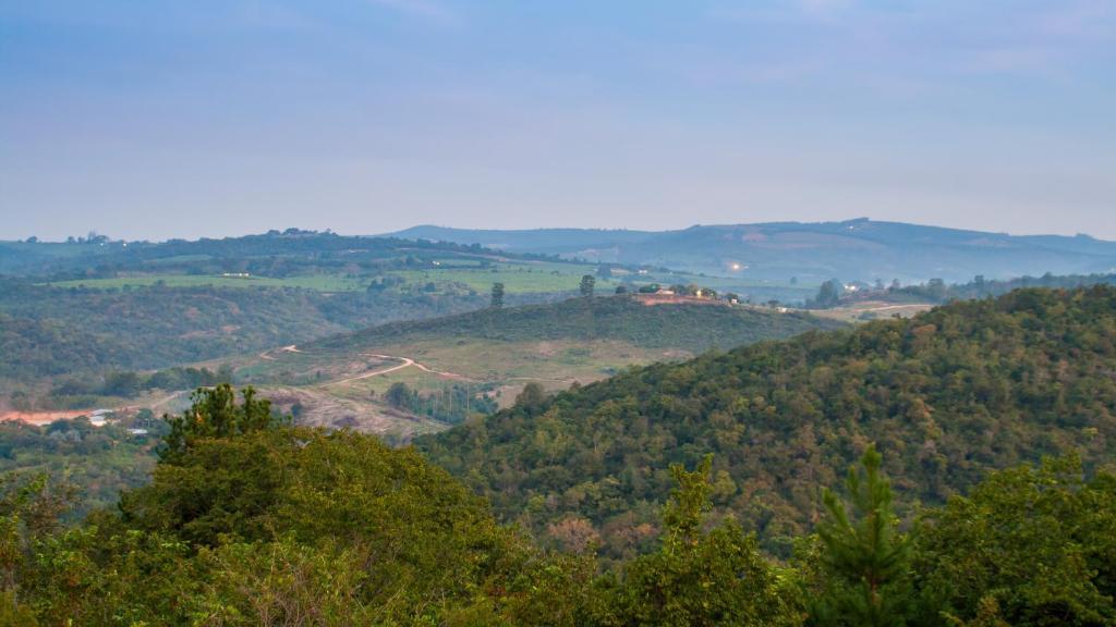 Гостевой дом Cuckoo Ridge Country Retreat Хейзивью Номер фото